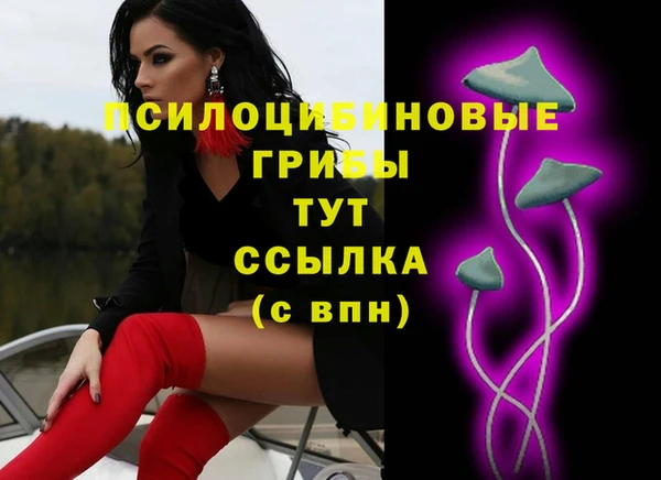 гидропоника Верхнеуральск