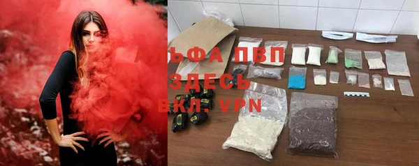 PSILOCYBIN Верхний Тагил
