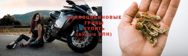 PSILOCYBIN Верхний Тагил