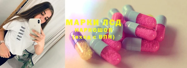 PSILOCYBIN Верхний Тагил