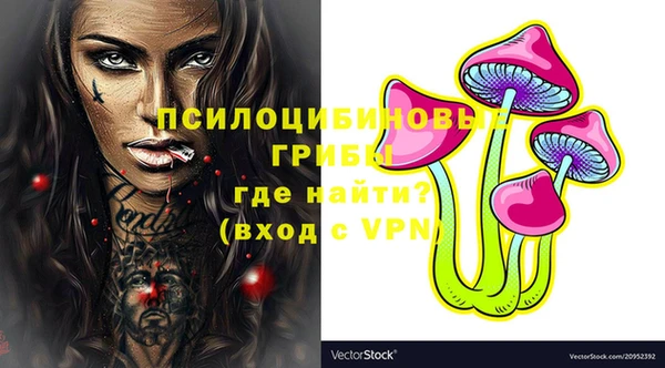 гашик Покров