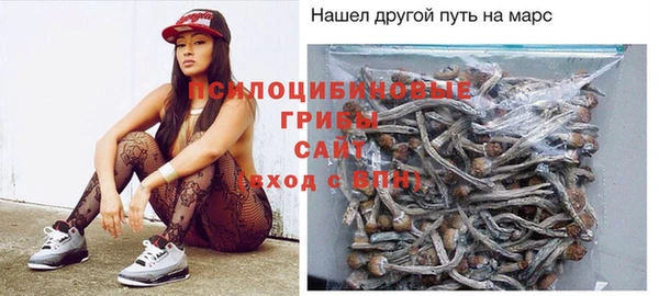 гашик Покров