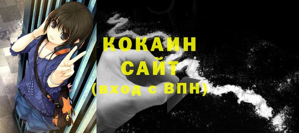 PSILOCYBIN Верхний Тагил