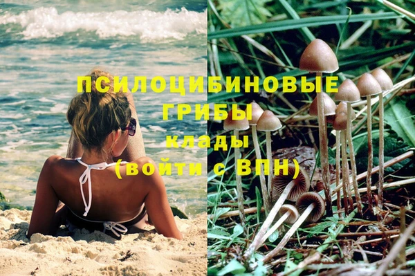 гидропоника Верхнеуральск